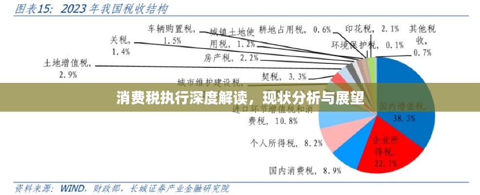 消费税执行深度解读,现状分析与展望