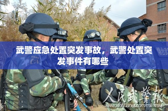 武警应急处置突发事故，武警处置突发事件有哪些 