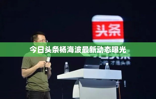 今日头条杨海波最新动态曝光