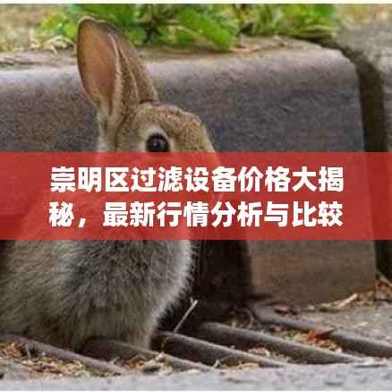 崇明区过滤设备价格大揭秘，最新行情分析与比较