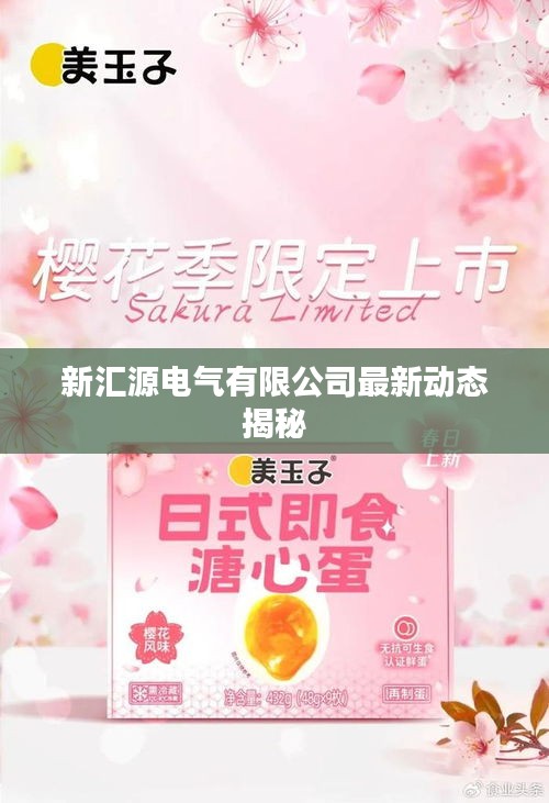 新汇源电气有限公司最新动态揭秘