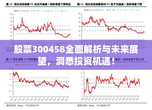 股票300458全面解析与未来展望,洞悉投资机遇!
