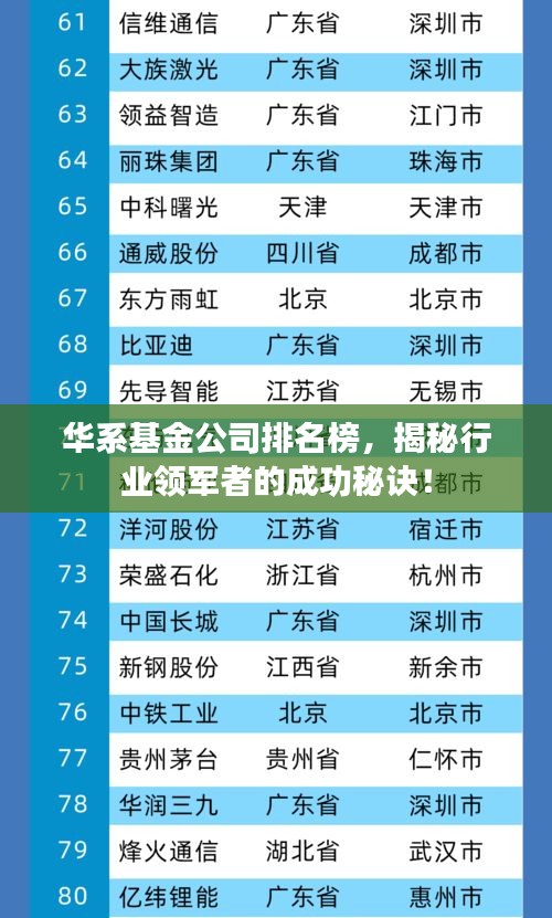 华系基金公司排名榜,揭秘行业领军者的成功秘诀!