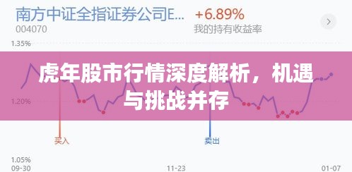 虎年股市行情深度解析，机遇与挑战并存