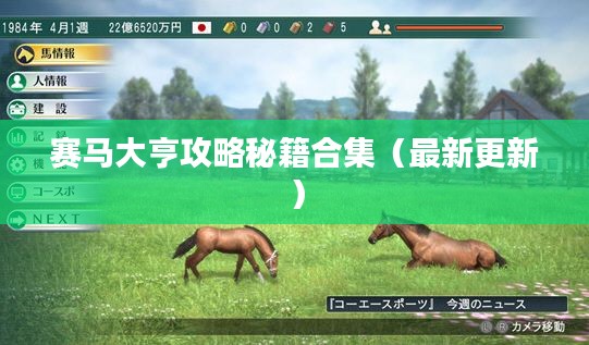 赛马大亨攻略秘籍合集(最新更新)