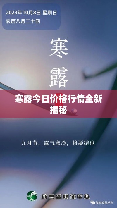 寒露今日价格行情全新揭秘