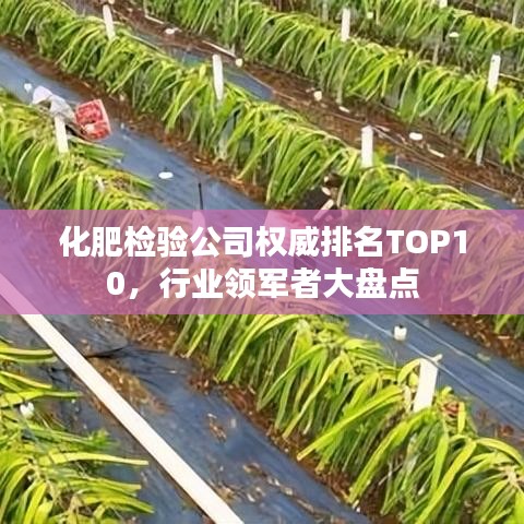高谈阔论 第2页