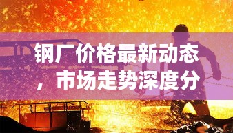 钢厂价格最新动态,市场走势深度分析与预测报告