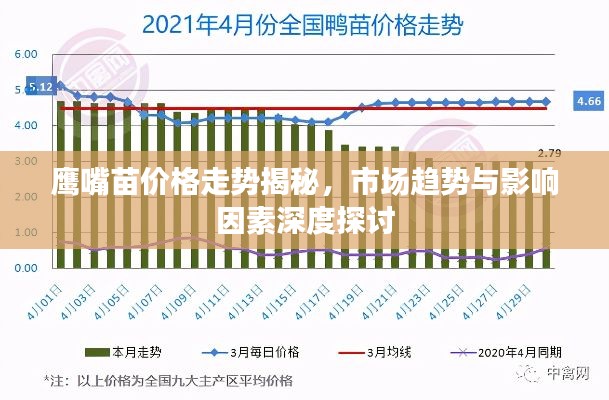 鹰嘴苗价格走势揭秘，市场趋势与影响因素深度探讨