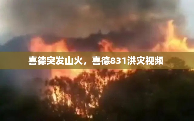 喜德突发山火,喜德831洪灾视频