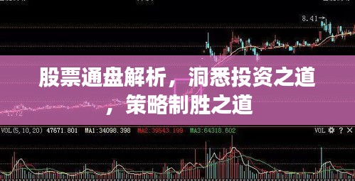 股票通盘解析，洞悉投资之道，策略制胜之道
