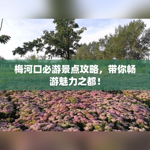 梅河口必游景点攻略，带你畅游魅力之都！