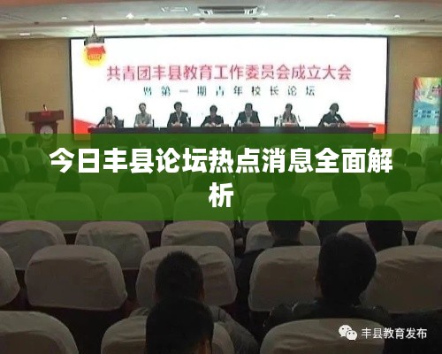 今日丰县论坛热点消息全面解析