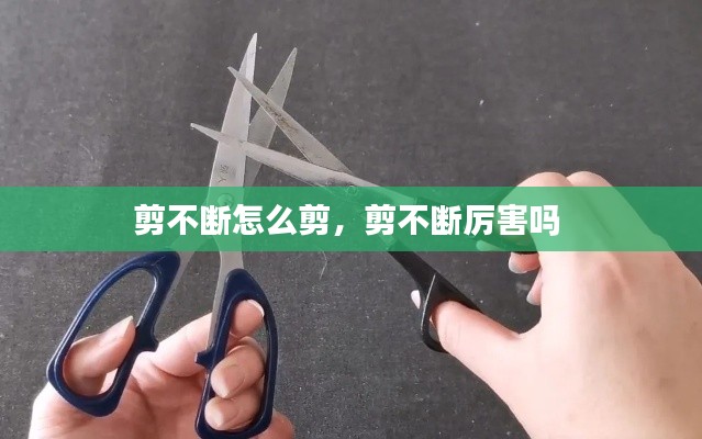 剪不断怎么剪，剪不断厉害吗 