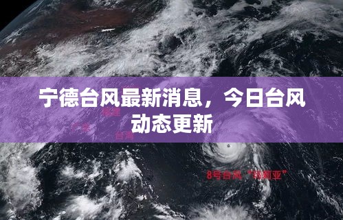 宁德台风最新消息,今日台风动态更新