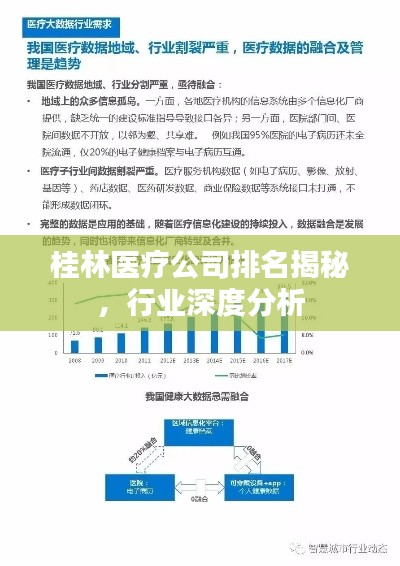 桂林医疗公司排名揭秘,行业深度分析
