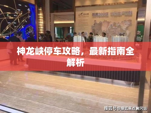 神龙峡停车攻略,最新指南全解析