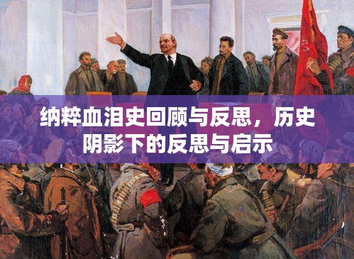 纳粹血泪史回顾与反思，历史阴影下的反思与启示