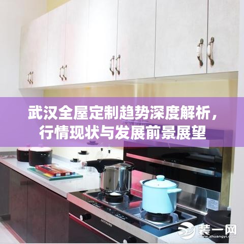 武汉全屋定制趋势深度解析，行情现状与发展前景展望