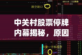中关村股票停牌内幕揭秘，原因、影响及未来展望