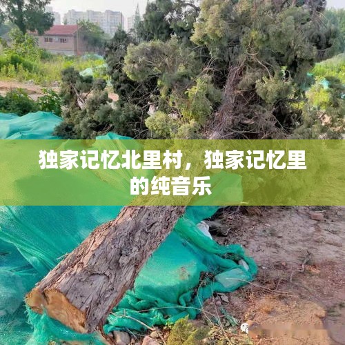 独家记忆北里村,独家记忆里的纯音乐