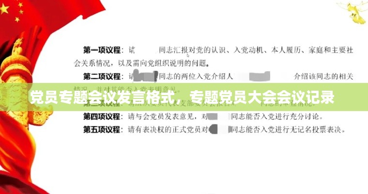 党员专题会议发言格式，专题党员大会会议记录 