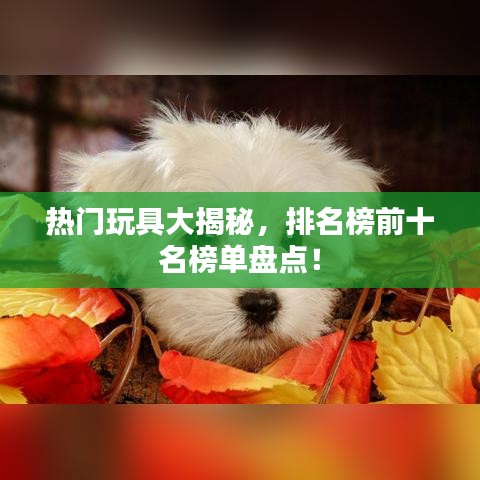 热门玩具大揭秘,排名榜前十名榜单盘点!