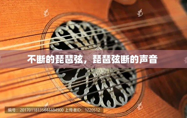 不断的琵琶弦,琵琶弦断的声音