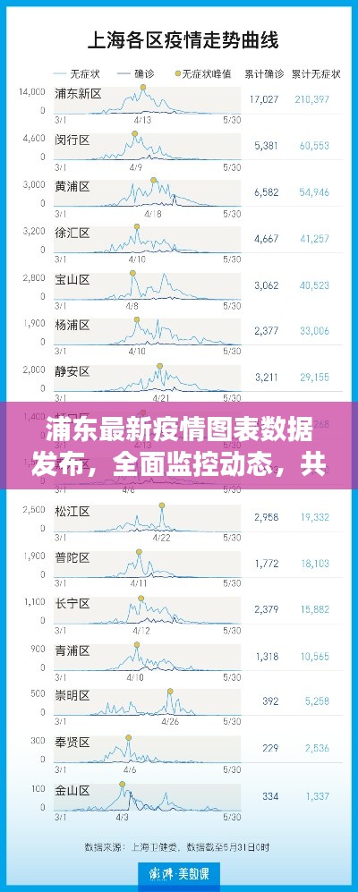 浦东最新疫情图表数据发布,全面监控动态,共筑防控坚强防线