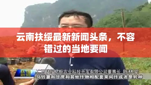 张张屈屈 第2页