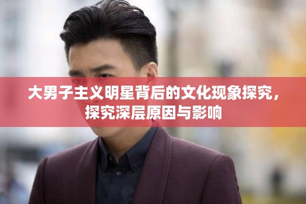 大男子主义明星背后的文化现象探究,探究深层原因与影响