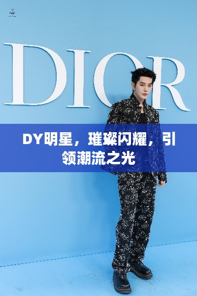 DY明星,璀璨闪耀,引领潮流之光