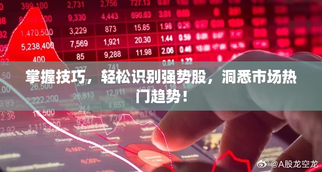 合作流程 第61页