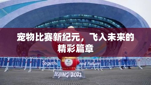 宠物比赛新纪元，飞入未来的精彩篇章