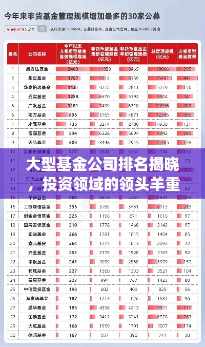 大型基金公司排名揭晓,投资领域的领头羊重磅出炉!
