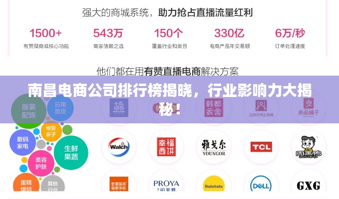 南昌电商公司排行榜揭晓,行业影响力大揭秘!