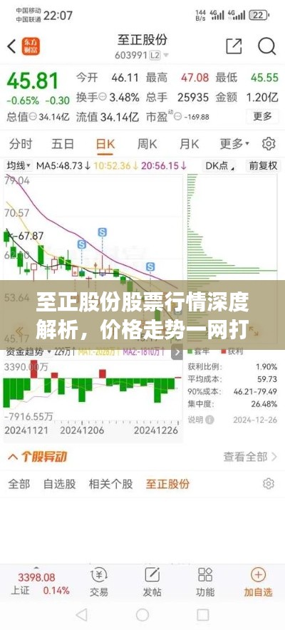 至正股份股票行情深度解析，价格走势一网打尽！