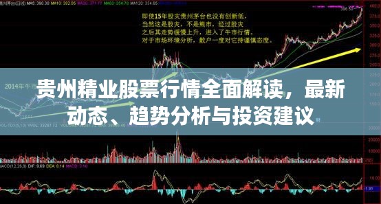 贵州精业股票行情全面解读，最新动态、趋势分析与投资建议